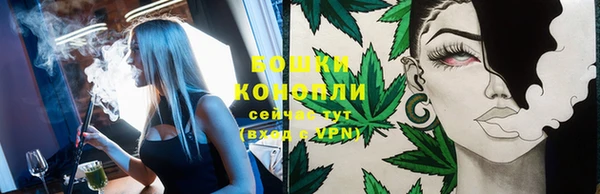 крисы Баксан