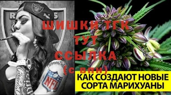 крисы Баксан