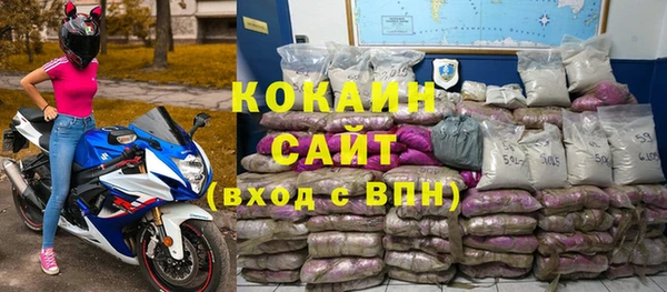 крисы Баксан