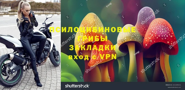 крисы Баксан