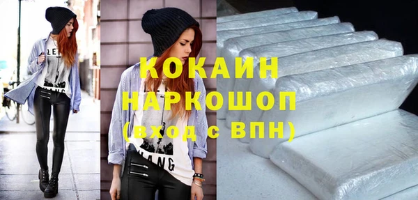 крисы Баксан