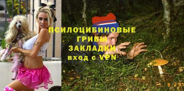 крисы Баксан