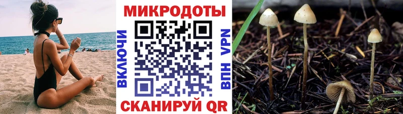 Галлюциногенные грибы мицелий  Заречный 